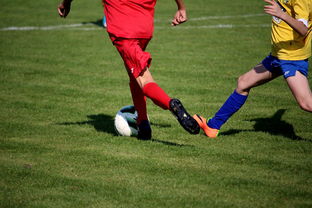 开云体育官网-TL险胜BLG，Perkz开启传奇时刻2025世界赛3:0（深圳）